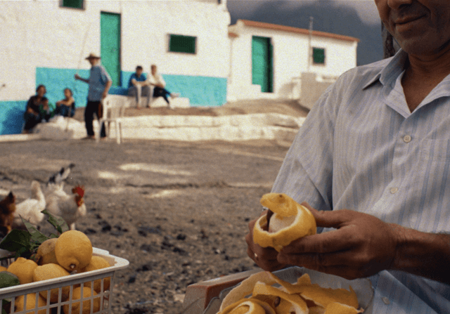 Lemons & Sand (DC), CANADA, 2025